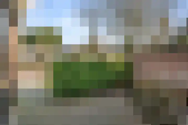 Ericapark 33 Bennekom thumbnail 8