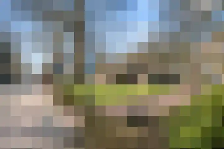 Ericapark 33 Bennekom thumbnail 9
