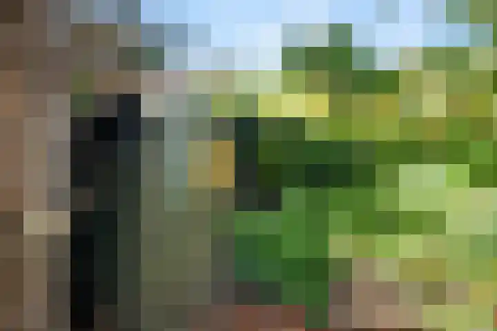 Ericapark 47 Bennekom thumbnail 18