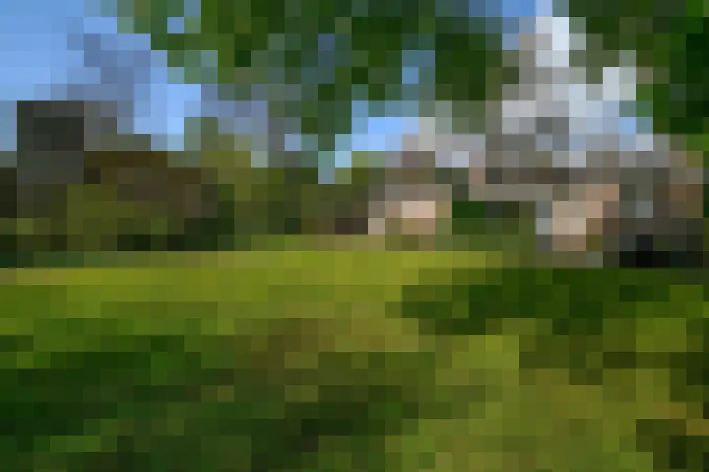 Ericapark 5 Bennekom thumbnail 6