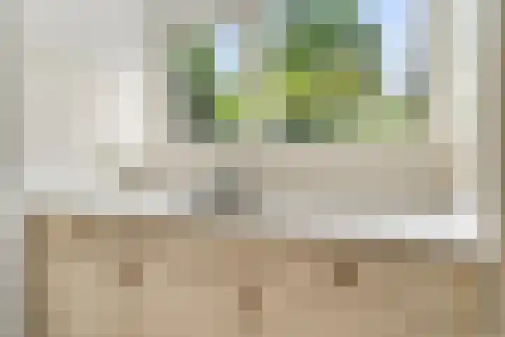 Ericapark 8 Bennekom thumbnail 21
