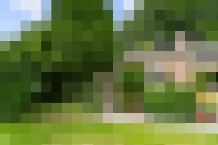 Ericapark 8 Bennekom thumbnail 24