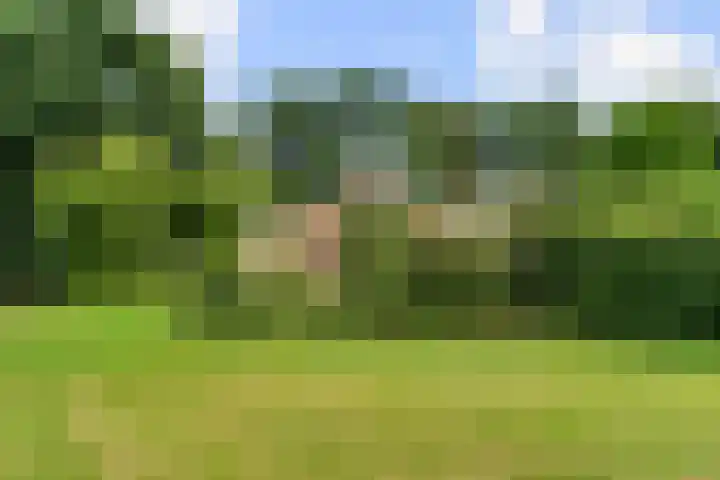 Ericapark 8 Bennekom thumbnail 25