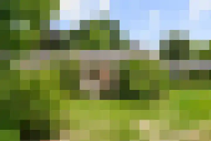 Ericapark 8 Bennekom thumbnail 26