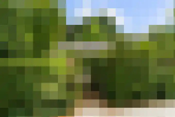 Ericapark 8 Bennekom thumbnail 27