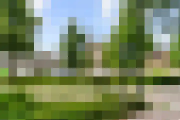 Ericapark 8 Bennekom thumbnail 28