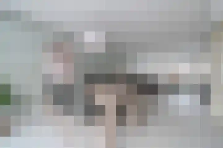 Ericaplein 74 Grubbenvorst foto 2