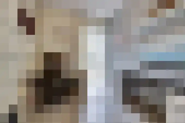 Ericaplein 79 Grubbenvorst thumbnail 18