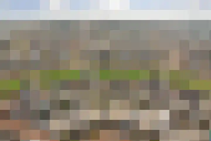 Ericaplein 79 Grubbenvorst thumbnail 25