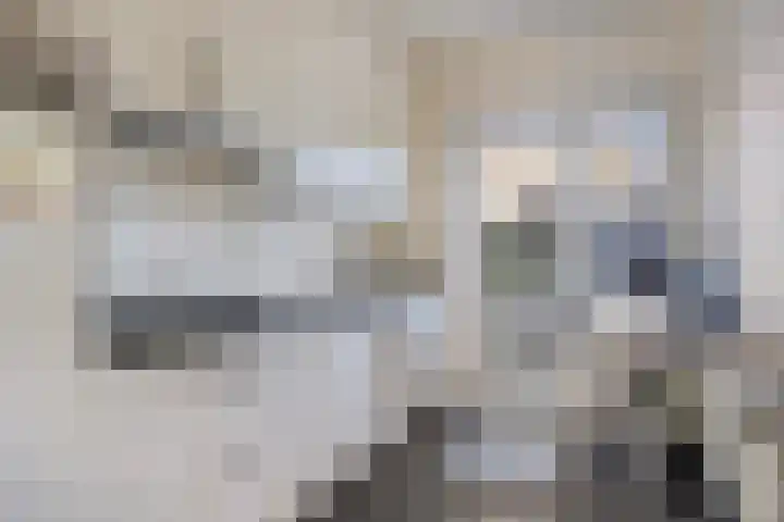 Ericaplein 9 Kloosterzande thumbnail 10