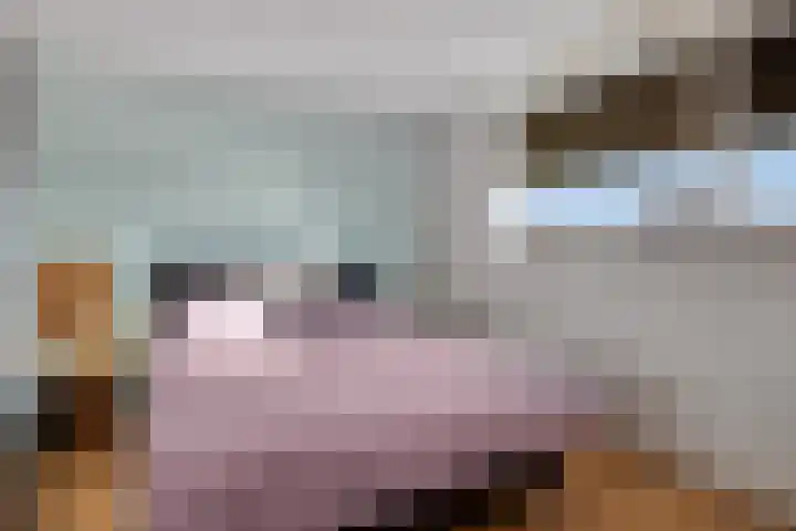 Ericaplein 9 Kloosterzande thumbnail 18