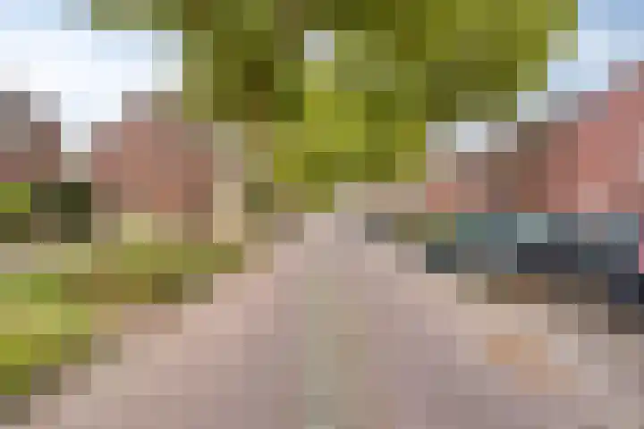 Ericastraat 13 Kerkrade thumbnail 4