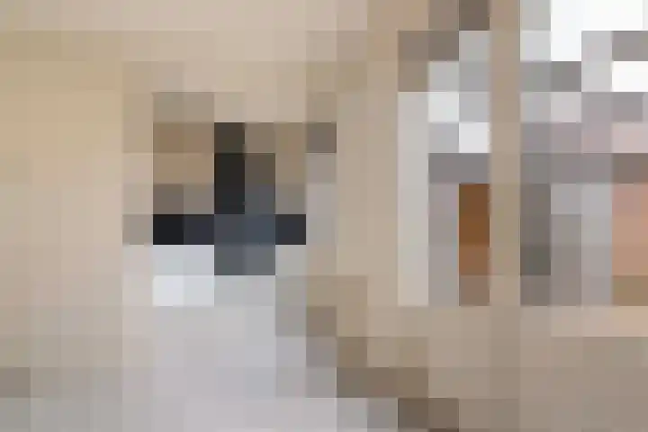 Ericastraat 17 Wezep thumbnail 13