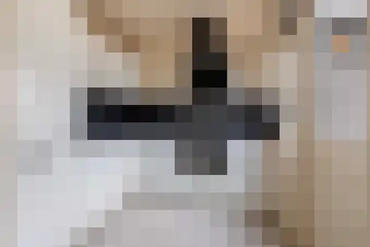 Ericastraat 17 Wezep thumbnail 14