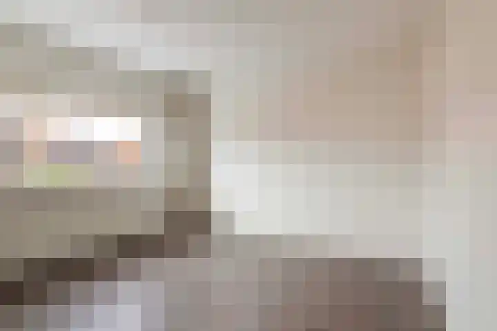 Ericastraat 17 Wezep thumbnail 18