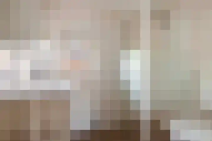 Ericastraat 17 Wezep thumbnail 22