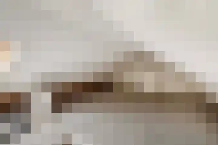 Ericastraat 17 Wezep thumbnail 24