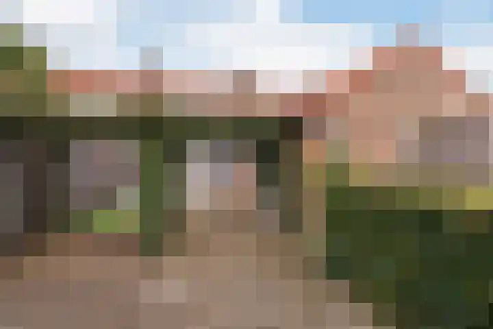 Ericastraat 17 Wezep thumbnail 28
