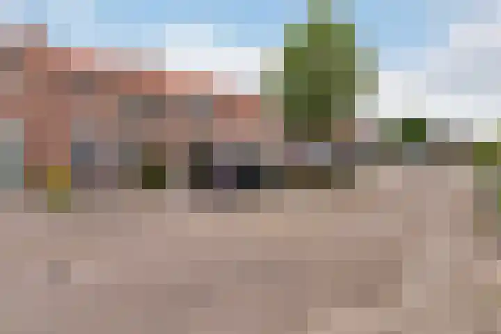 Ericastraat 17 Wezep thumbnail 30