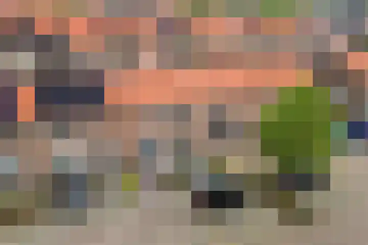 Ericastraat 17 Wezep thumbnail 32