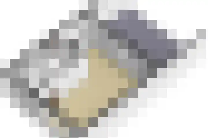 Ericastraat 17 Wezep thumbnail 39