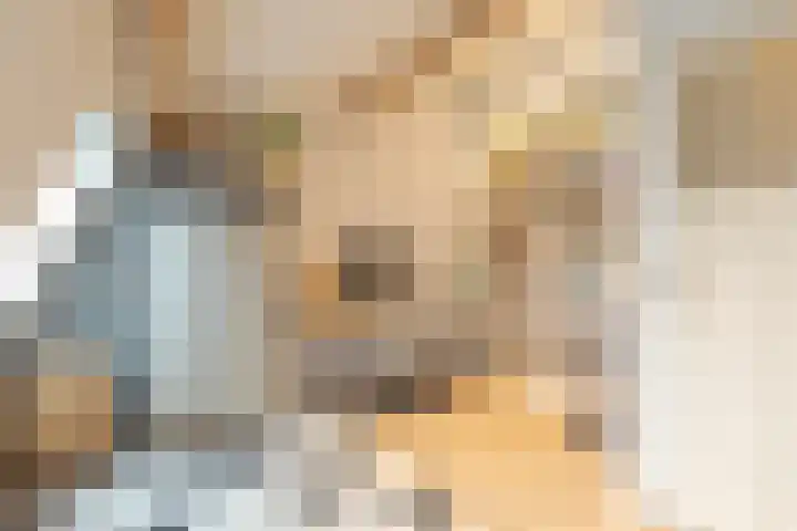 Ericastraat 25 Hilversum thumbnail 18