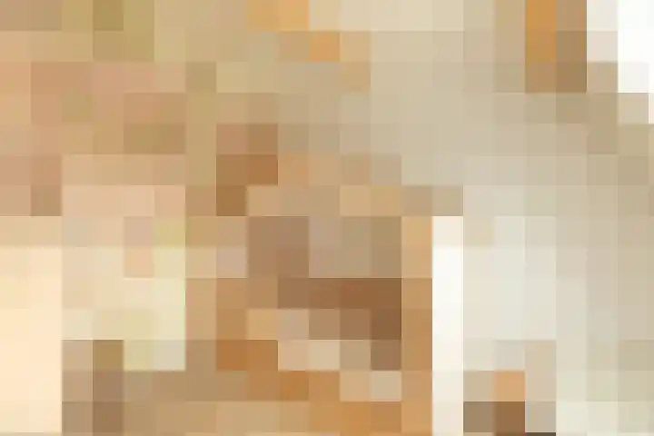 Ericastraat 25 Hilversum thumbnail 20