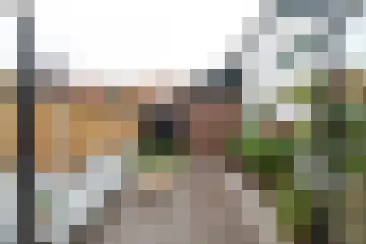 Ericastraat 25 Hilversum thumbnail 24