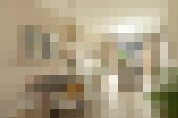 Ericastraat 25 Hilversum thumbnail 6