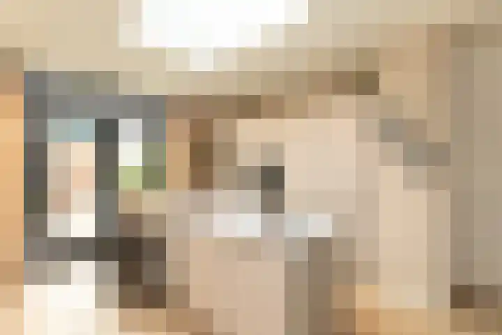 Ericastraat 25 Hilversum thumbnail 7