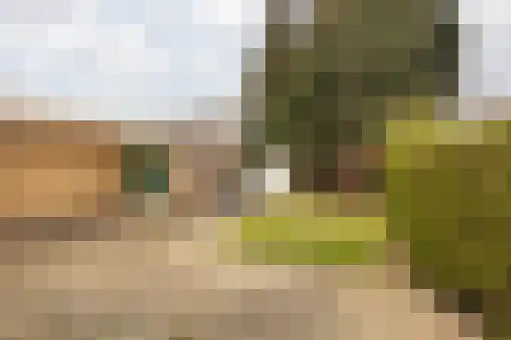 Ericastraat 40 Sittard thumbnail 22