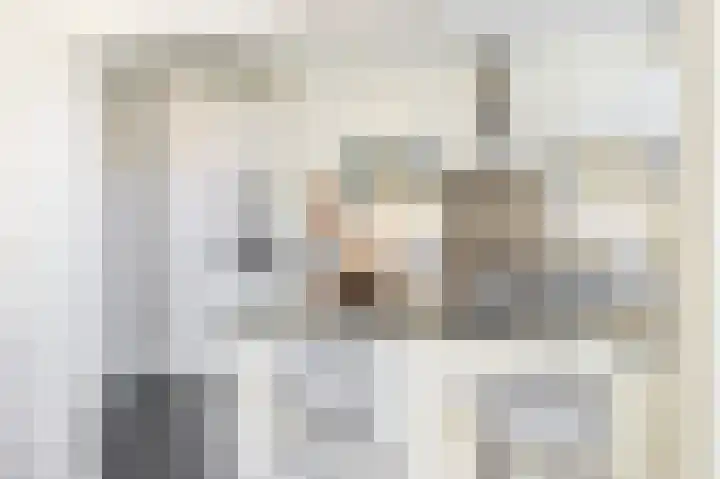 Ericastraat 5 Eindhoven thumbnail 13