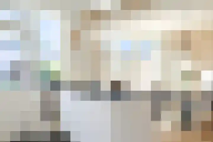 Ericastraat 5 Eindhoven thumbnail 15