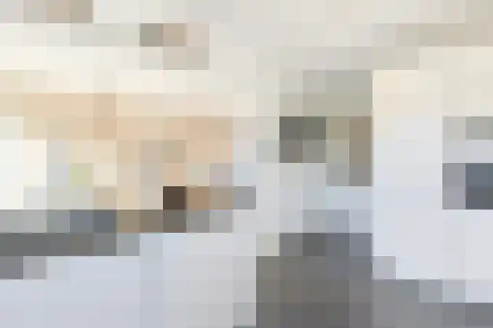 Ericastraat 5 Eindhoven thumbnail 18