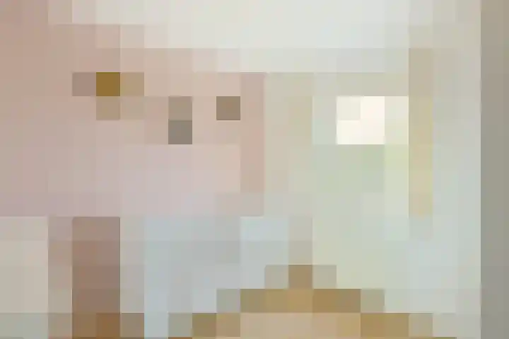 Ericastraat 5 Eindhoven thumbnail 27