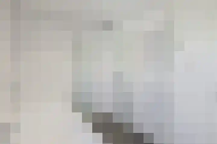 Ericastraat 5 Eindhoven thumbnail 37