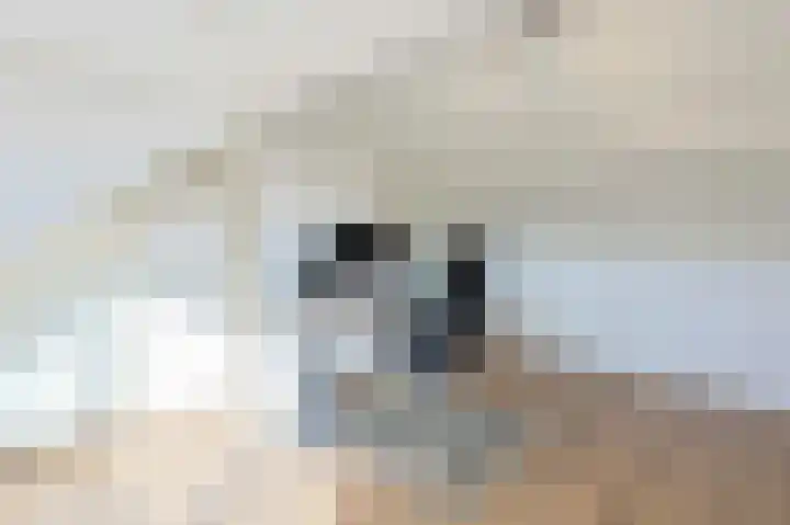 Ericastraat 5 Eindhoven thumbnail 46