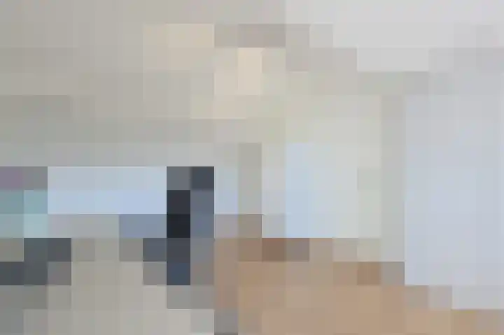 Ericastraat 5 Eindhoven thumbnail 48