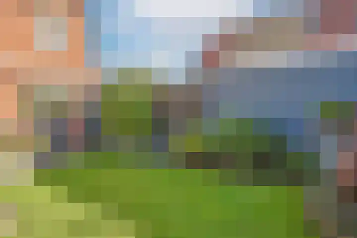 Ericastraat 5 Eindhoven thumbnail 52