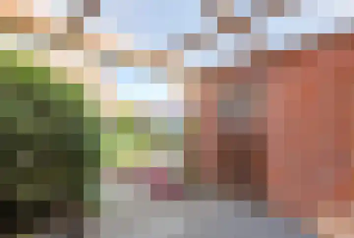 Ericastraat 5 Eindhoven thumbnail 54