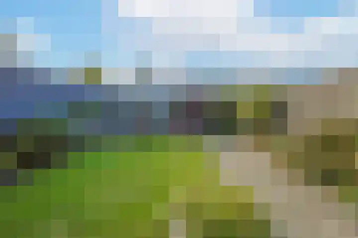 Ericastraat 5 Eindhoven thumbnail 58