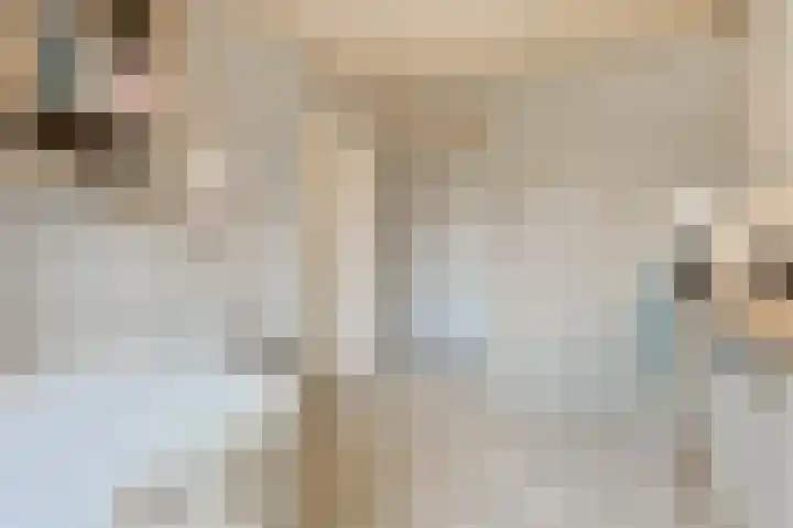Ericastraat 7 Eindhoven thumbnail 12