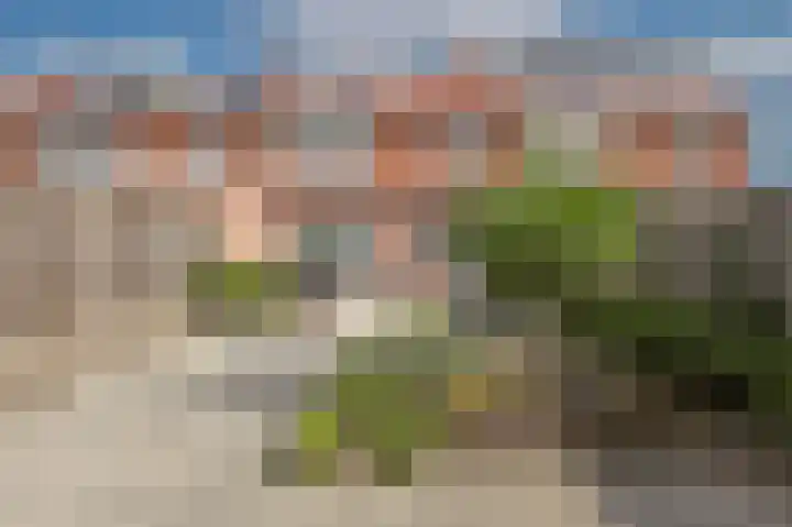Ericastraat 7 Eindhoven thumbnail 23