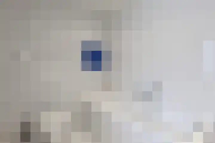 Ericastraat 7 Eindhoven thumbnail 33