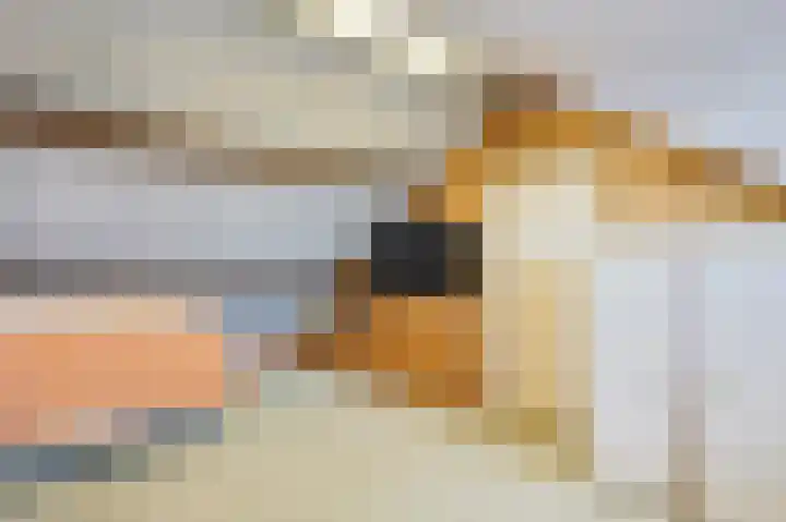Ericastraat 7 Eindhoven thumbnail 38