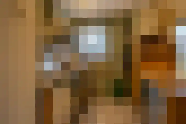 Ericaveld 326 Ballum thumbnail 5