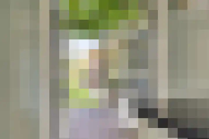 Ericaweg 10 Stroe thumbnail 17