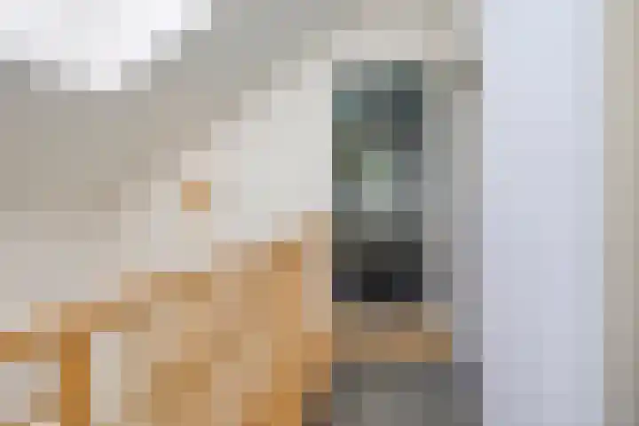 Ericaweg 10 Stroe thumbnail 21