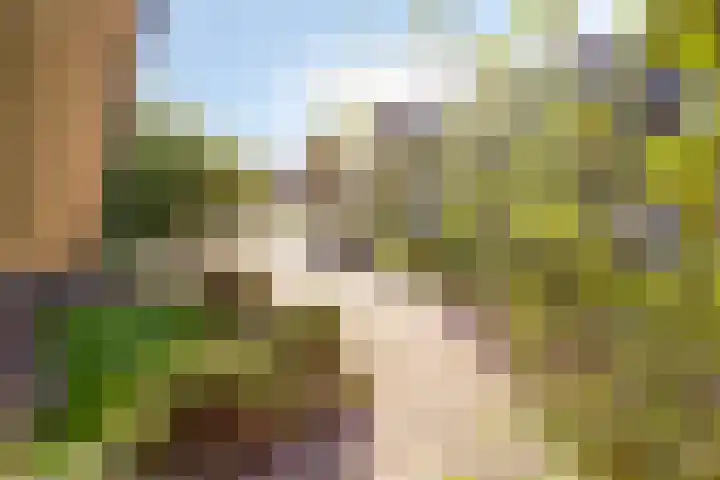 Ericaweg 10 Stroe thumbnail 24