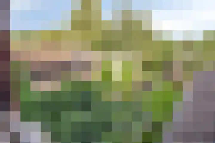Ericaweg 10 Stroe thumbnail 32